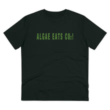 Load image into Gallery viewer, Algae Eats CO2!